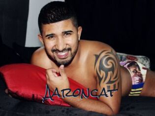 Aaroncat