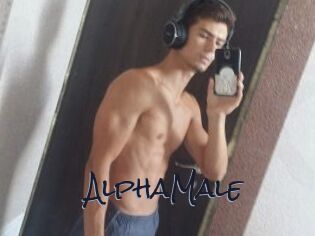 AlphaMale