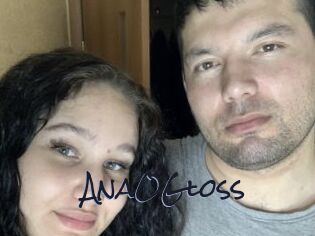 AnaOGloss