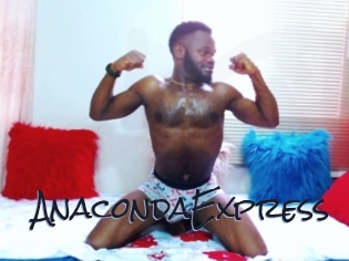 AnacondaExpress