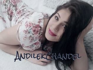 AndilekChandel