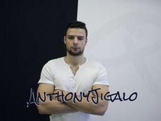 AnthonyJigalo