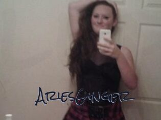 AriesGinger