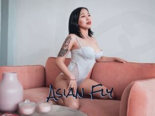 Asian_Fly