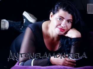 Antonelamontiela