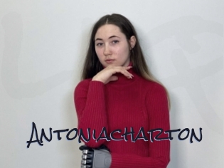 Antoniacharton