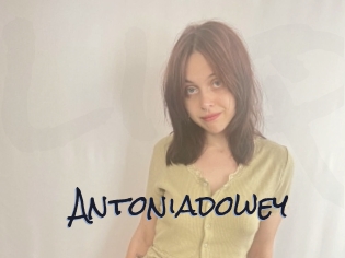 Antoniadowey