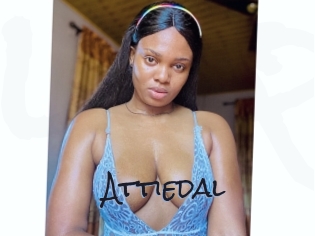 Attiedal