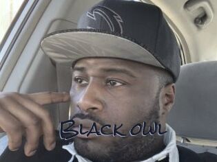 Black_owl