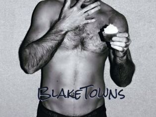 BlakeTowns
