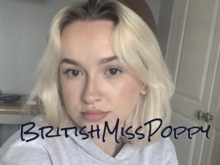 BritishMissPoppy