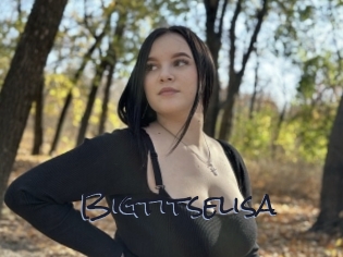 Bigtitselisa