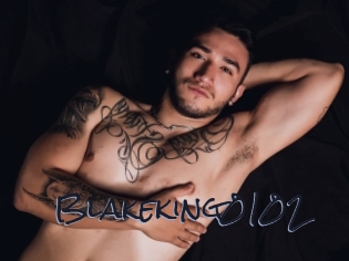 Blakeking0102