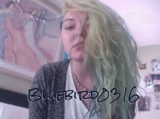 Bluebird0316