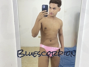 Bluescorpion