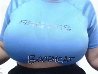 Boobycat