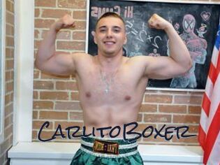 CarlitoBoxer