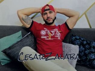 CesarZalaba