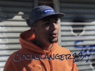 Cockslanger23