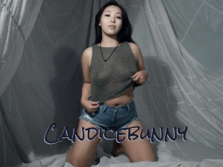 Candicebunny