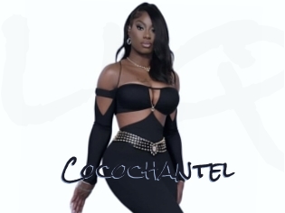 Cocochantel