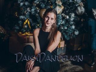 DaisyDandelion
