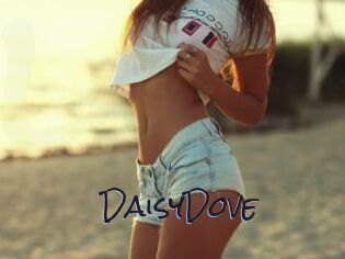 DaisyDove