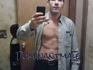 Dominantmale
