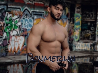 Donmerlin