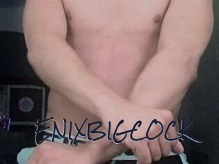 ENIXBIGCOCK