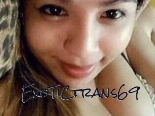 ExoTiC_trans69