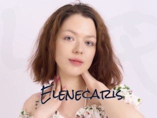 Elenecaris