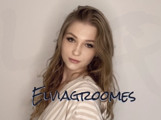 Elviagroomes