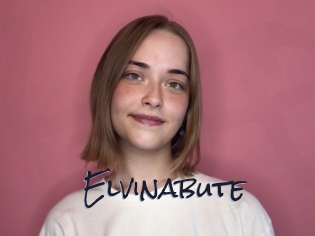 Elvinabute