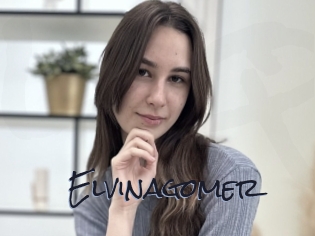 Elvinagomer