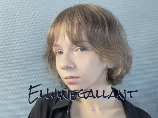 Elwinegallant