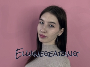 Elwinegearing