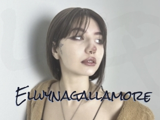 Elwynagallamore