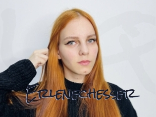 Erlenechesser