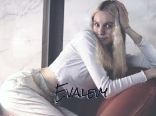 Evalevy