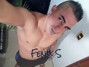 Fenix_S