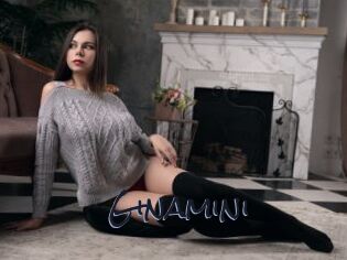 Ginamini