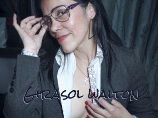 Girasol_walton