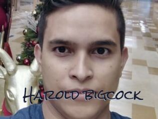 Harold_bigcock