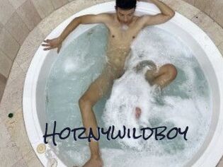 Hornywildboy
