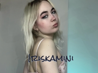 Iriskamini