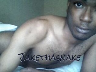 Jake_tha_snake