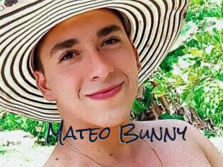 Mateo_Bunny