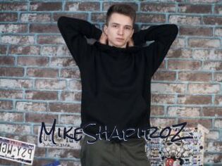 MikeShapiroZ