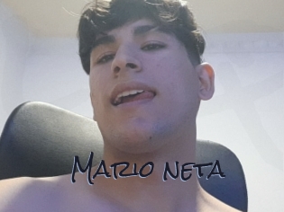 Mario_neta